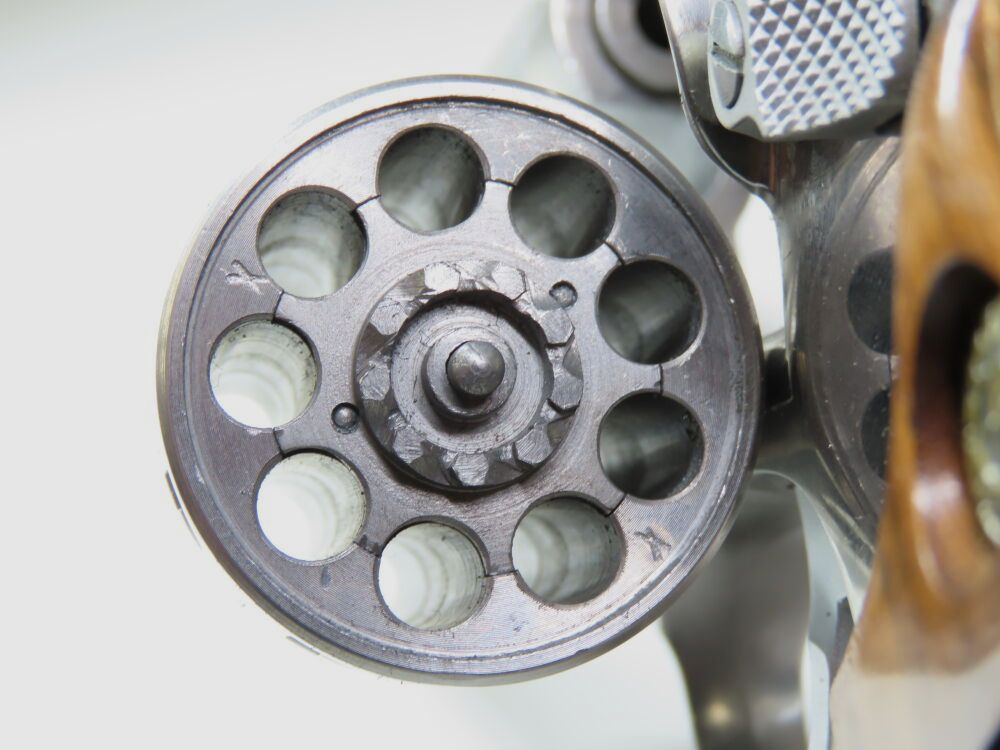 Taurus 94 in Stainless incl. Holster!