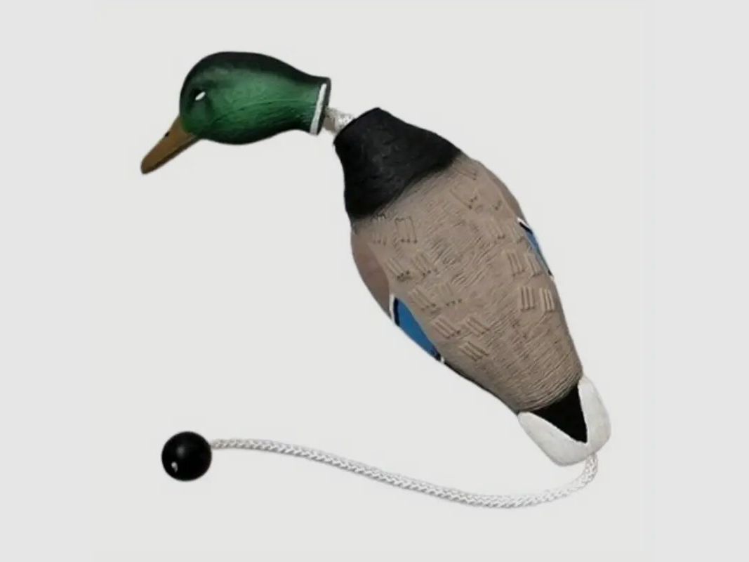 hs-arms dog retrieving dummy stock duck