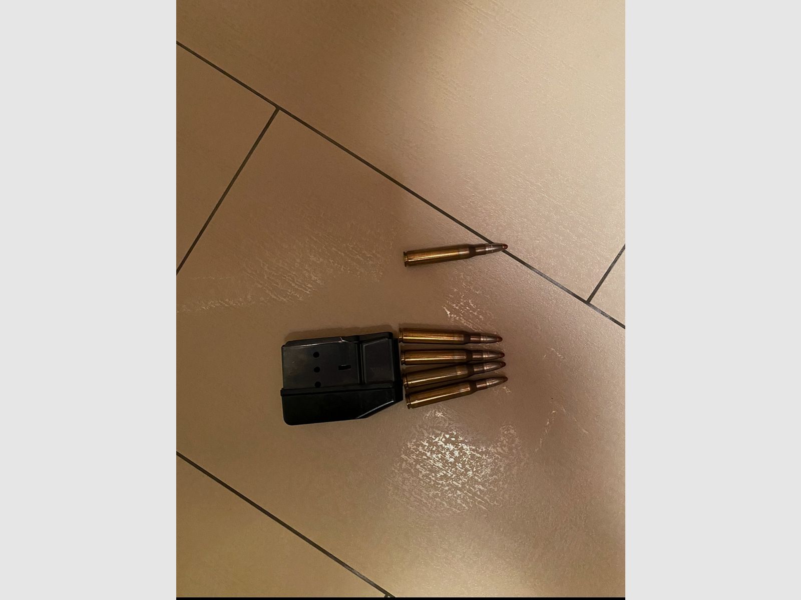 Sauer 202 8x68S mit Zeiss Victory Variopoint 3-12x56T mit Balistikturm