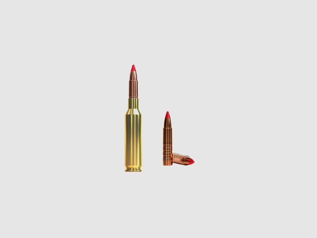 S&B 6,5 CREEDMOOR 120 GRS / 7,8 G TXRGCE EXERGY CUTTING EDGE 20 STK, Bild 2 von 3