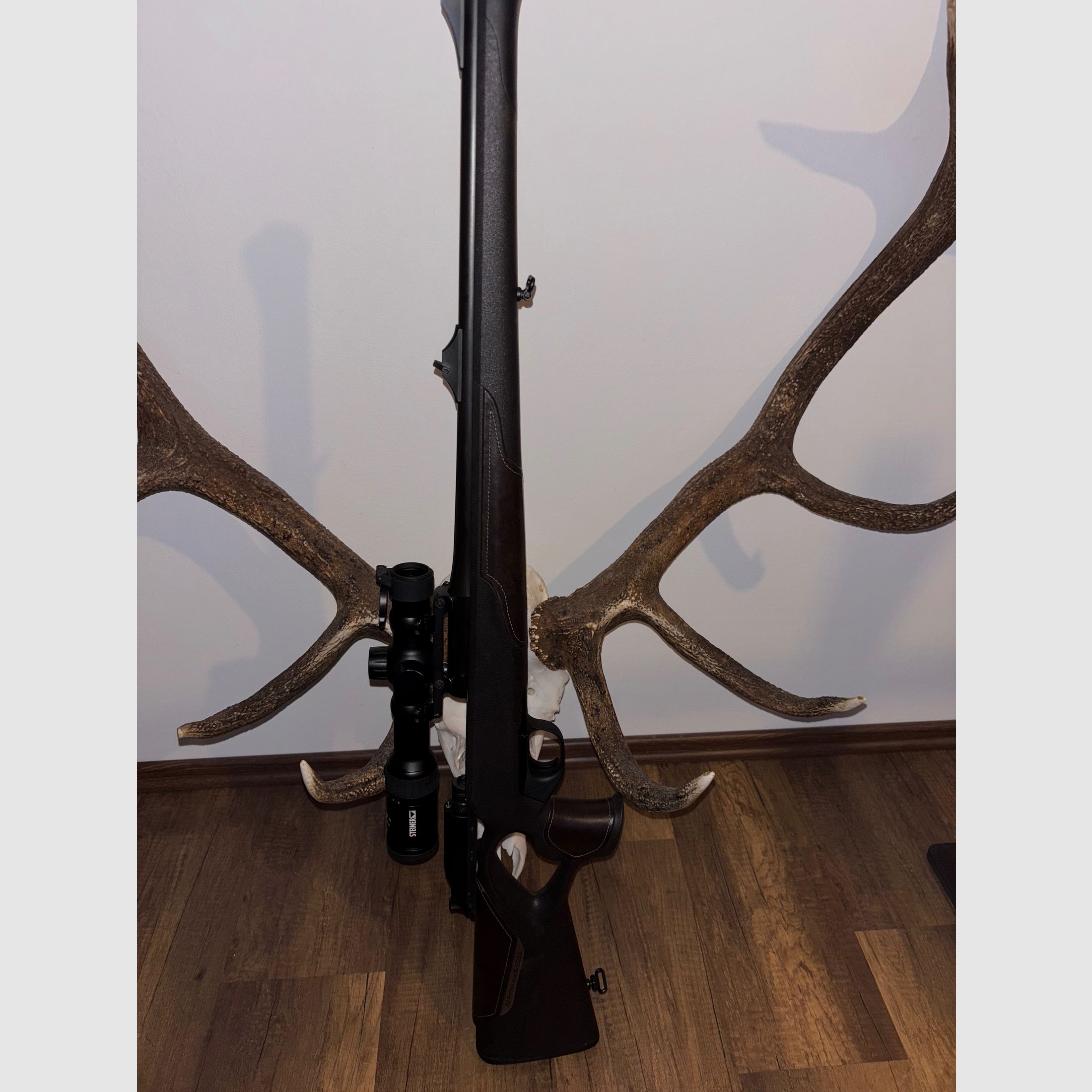 Blaser R8 cuero soporte / ÉXITO profesional.