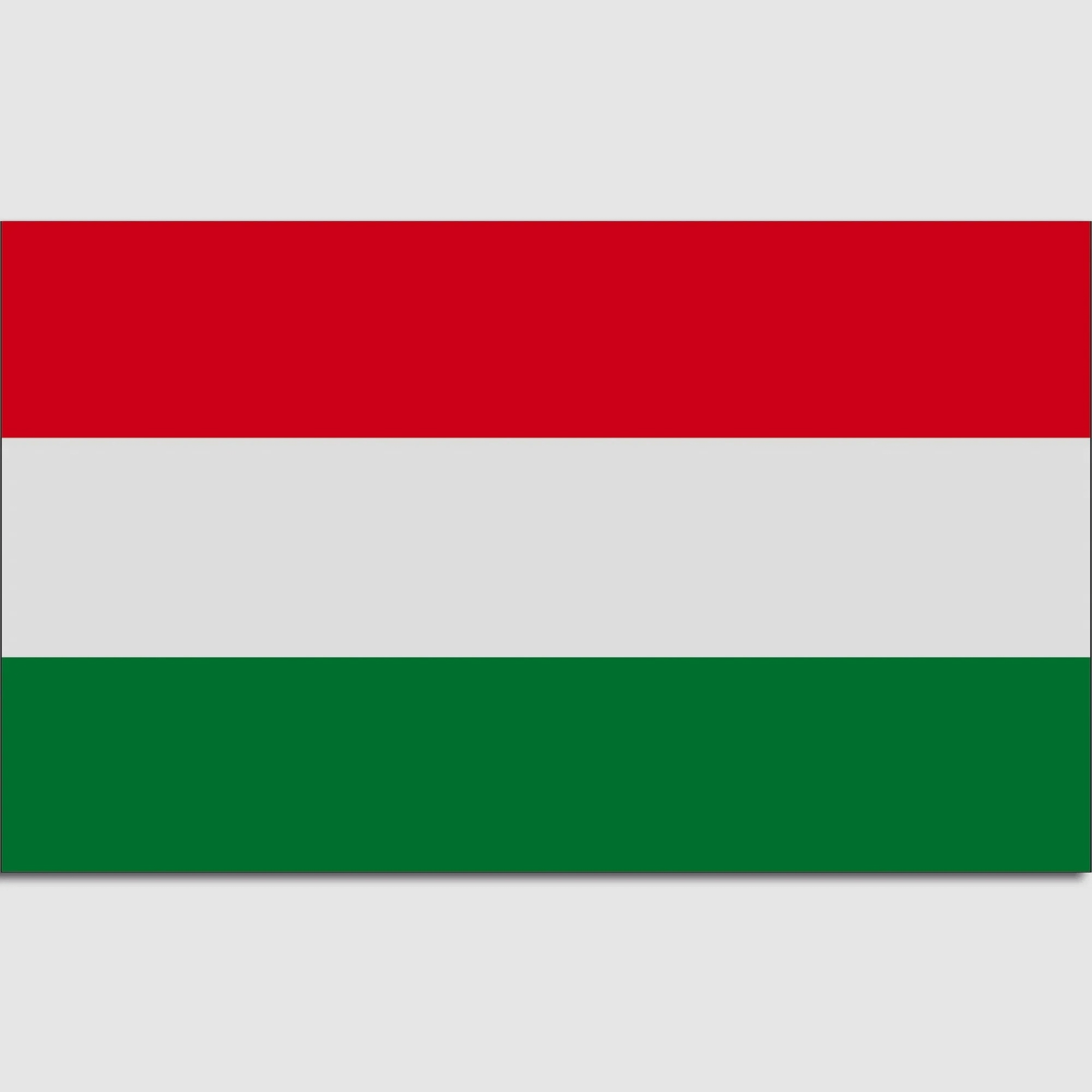 Unbekannt Flagge Ungarn