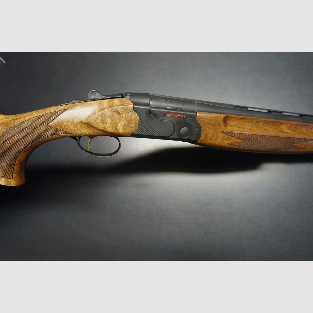 Brenner BF20 Supersport, immagine 4 di 5