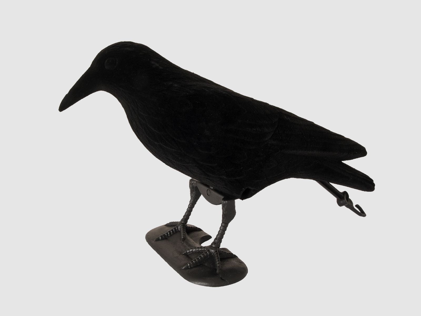 5etta Bulvan Crow Noir