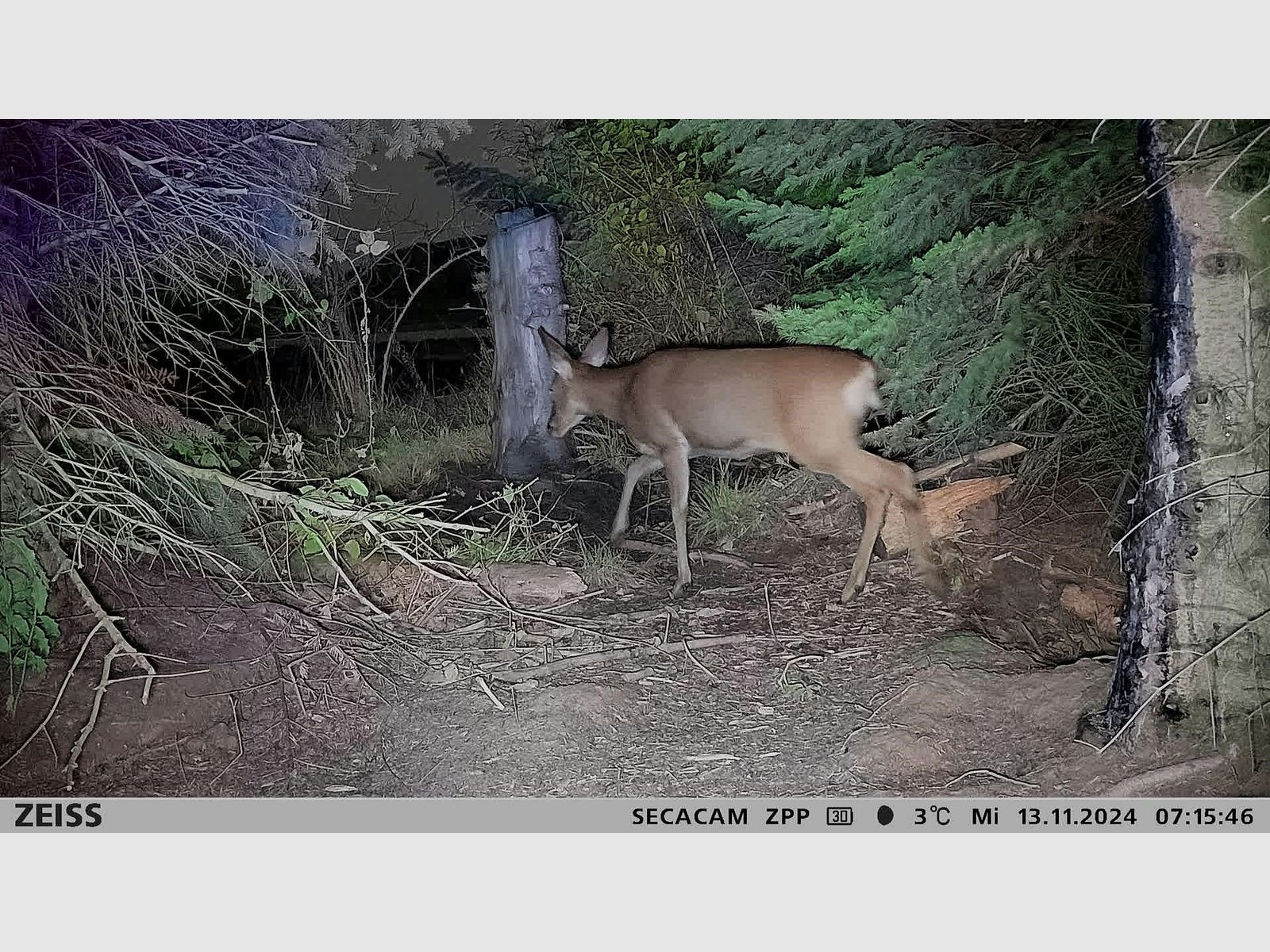 Zeiss Secacam 3 Trail Camera + Power Pack + Metal Housing, image 10 of 38