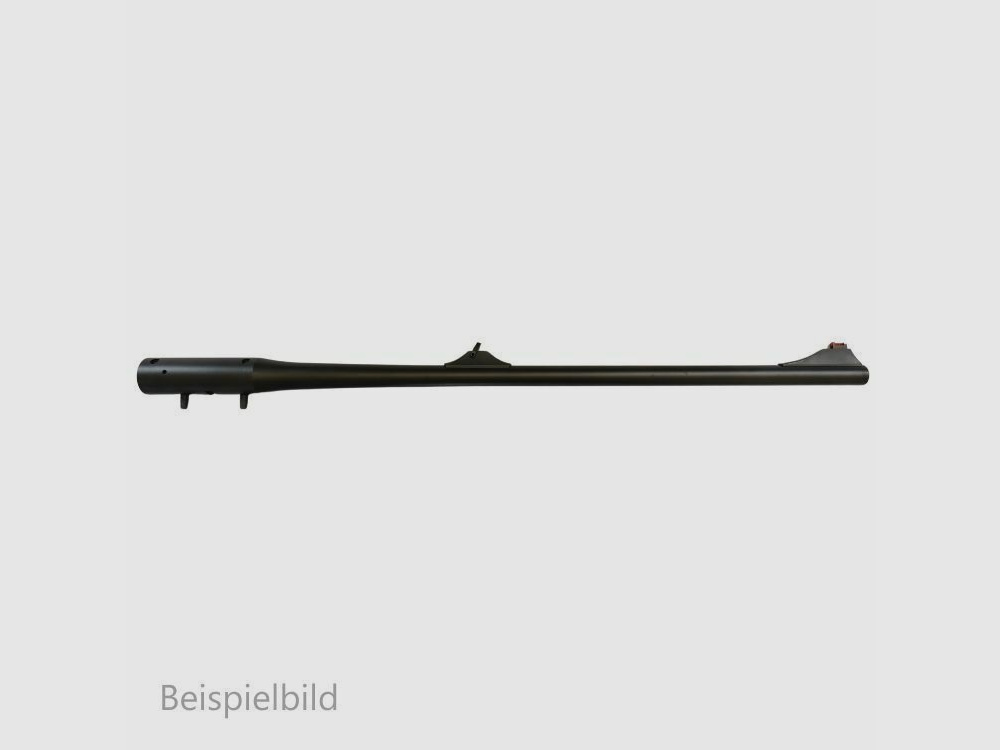 Blaser WL R8