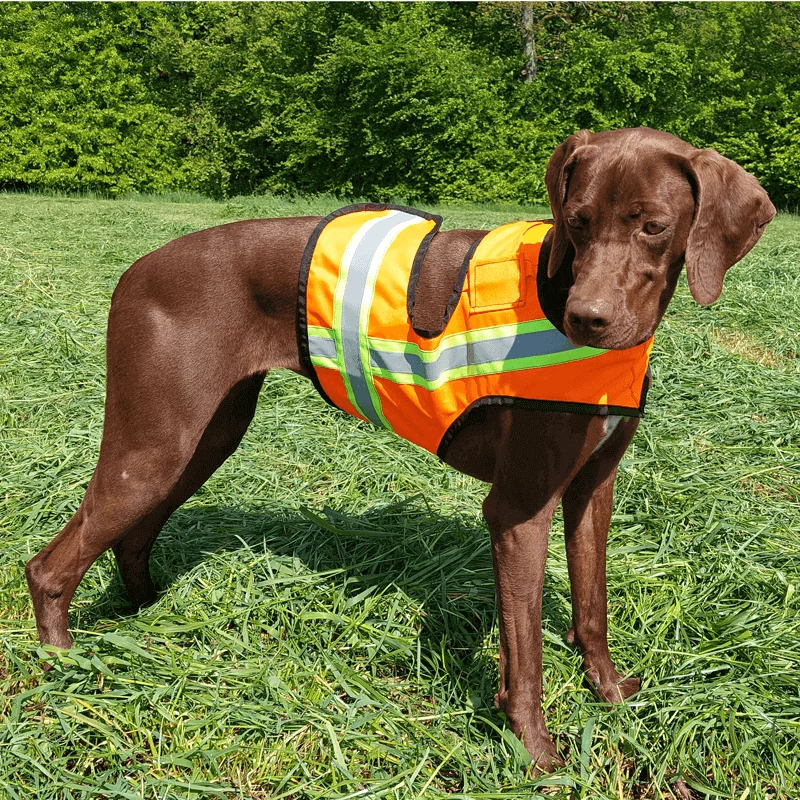 Gilet de signalisation pour chien avec poche pour tracker, image 3 sur 4