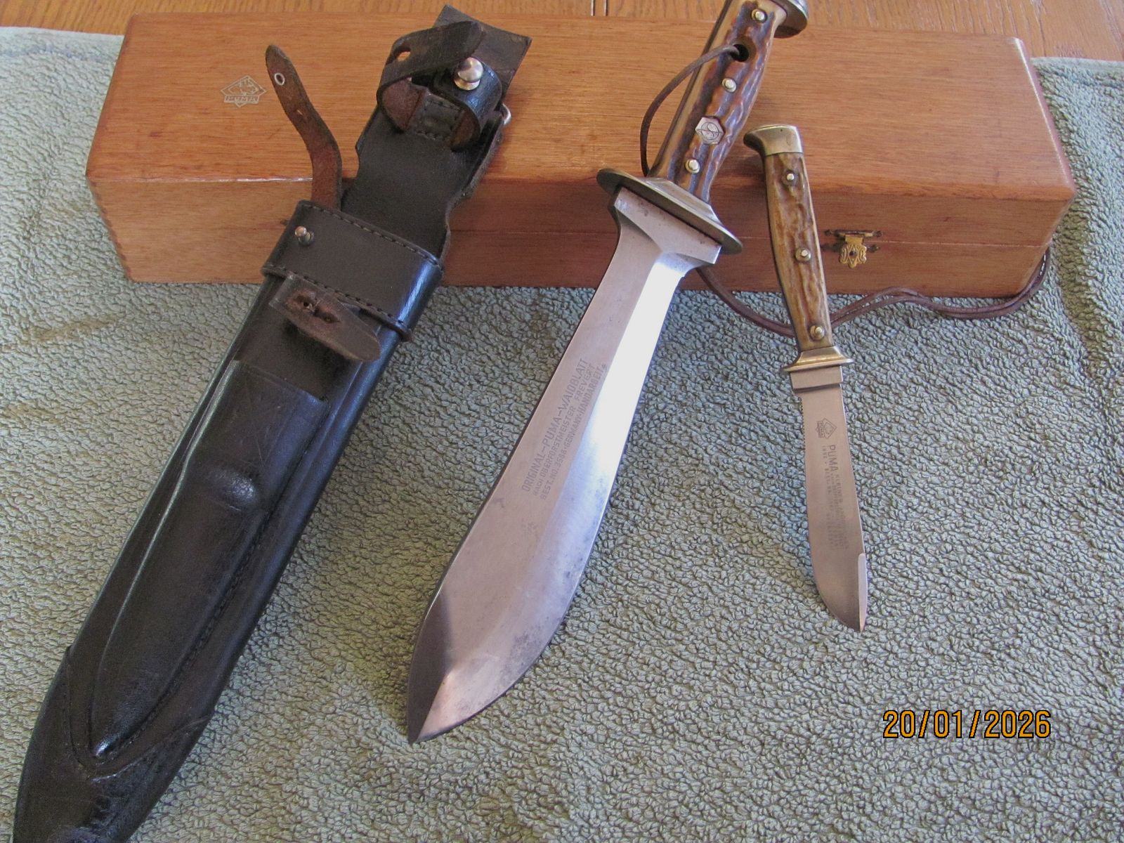 Original Puma Waidblatt 3588 in Holzbox - geführt, ohne Schäden