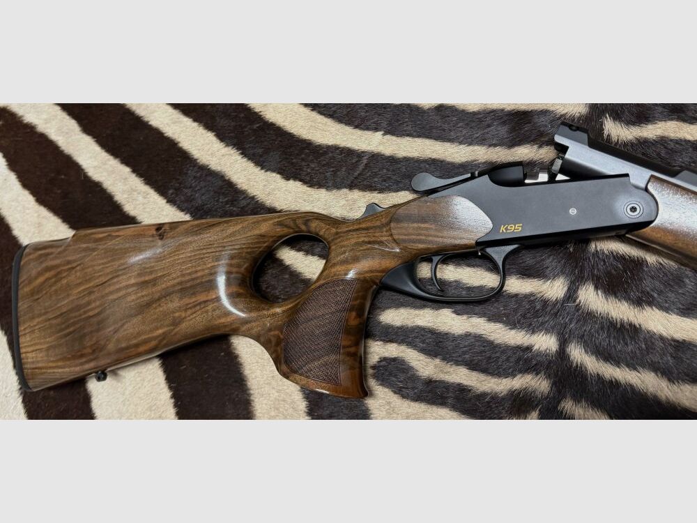 Blaser K95 Success