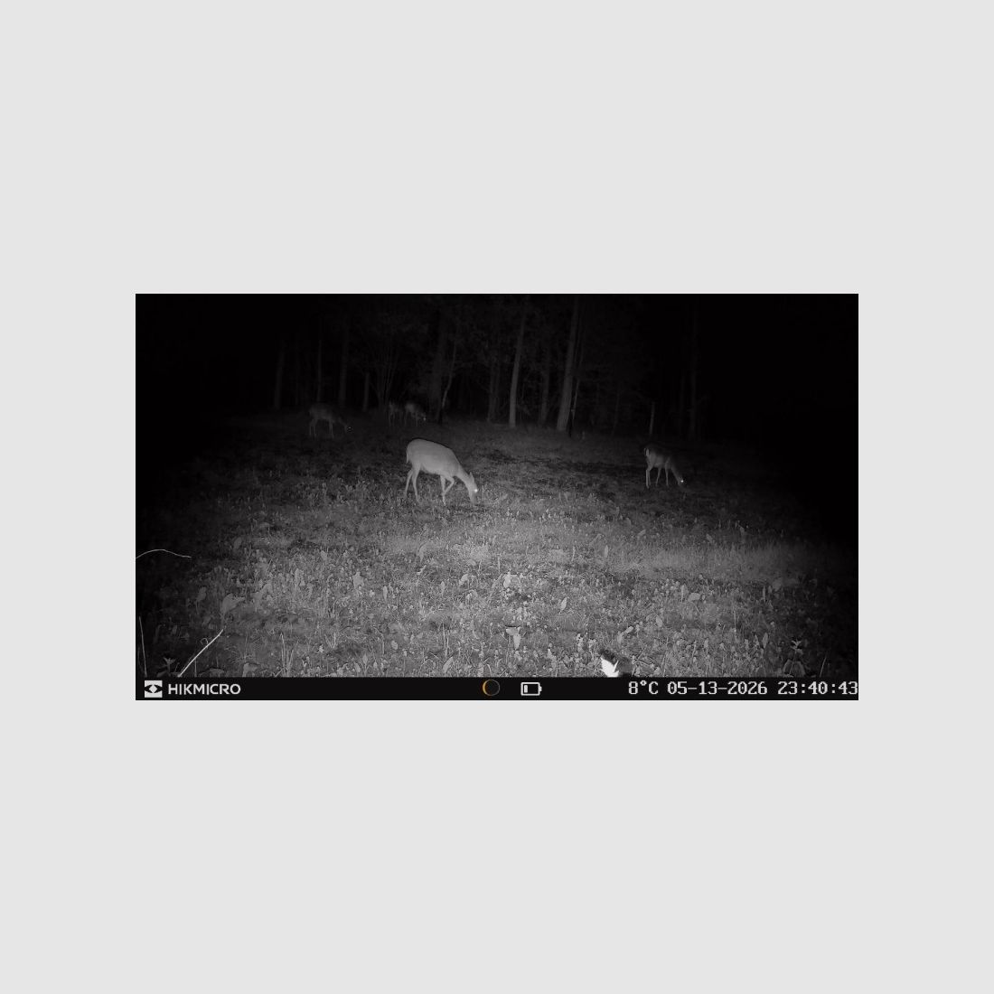 HIKMICRO T16 4G Wildkamera Dual-FOV, bis 24 MP, 64 GB