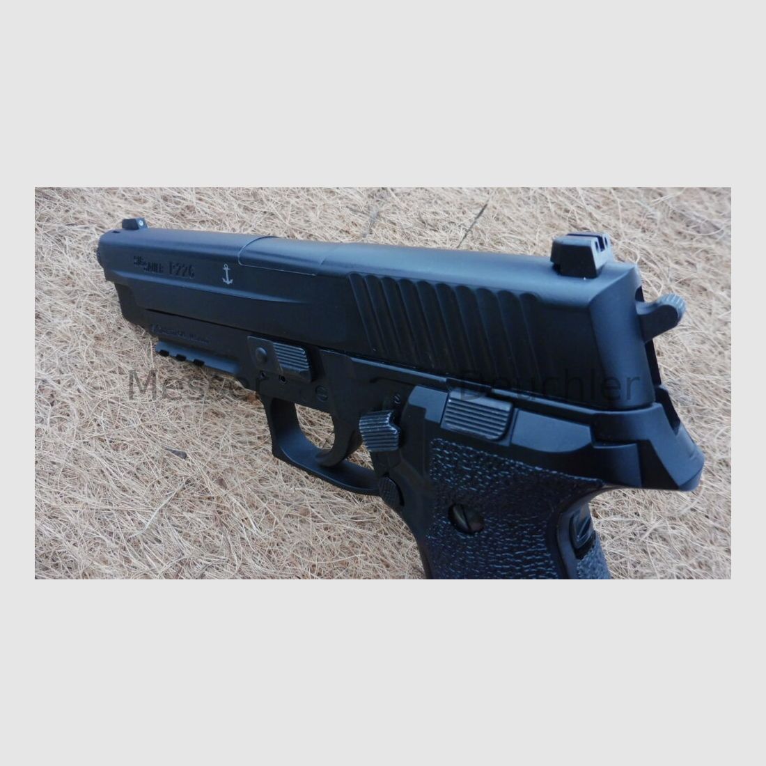 Sig Sauer	 226