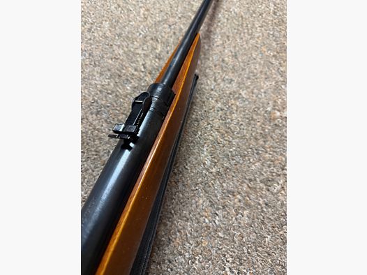 Haenel 310 with fine trigger