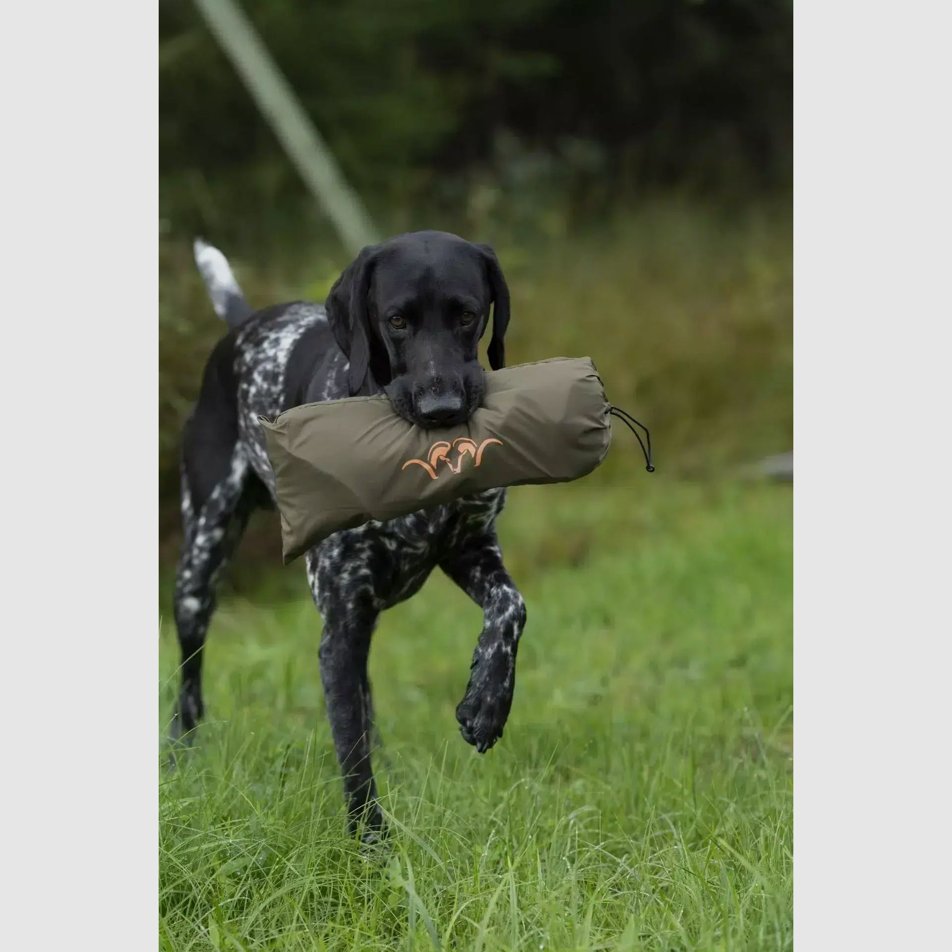 Manta para perros Blaser verde oliva oscuro 70×100 cm