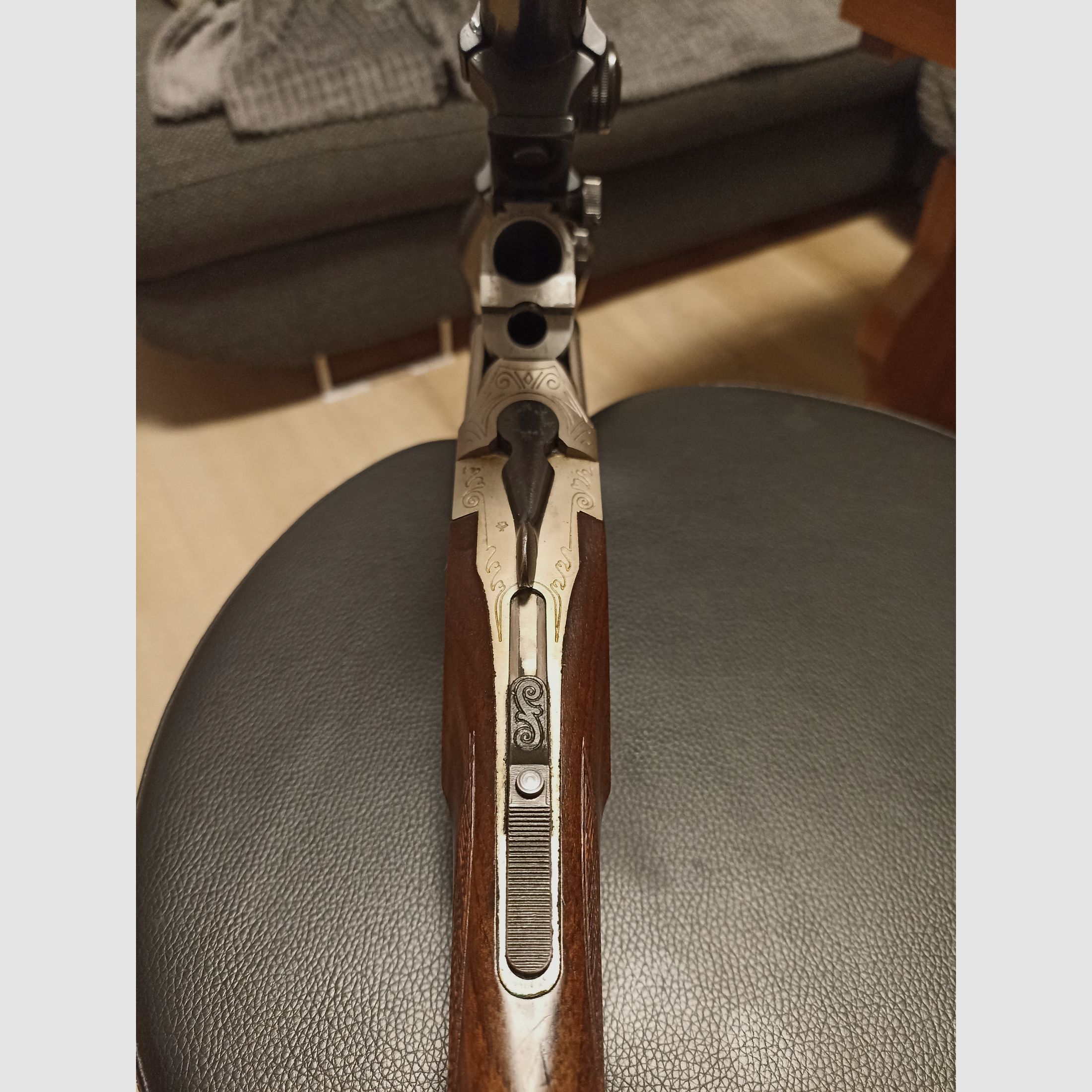 Blaser es 67