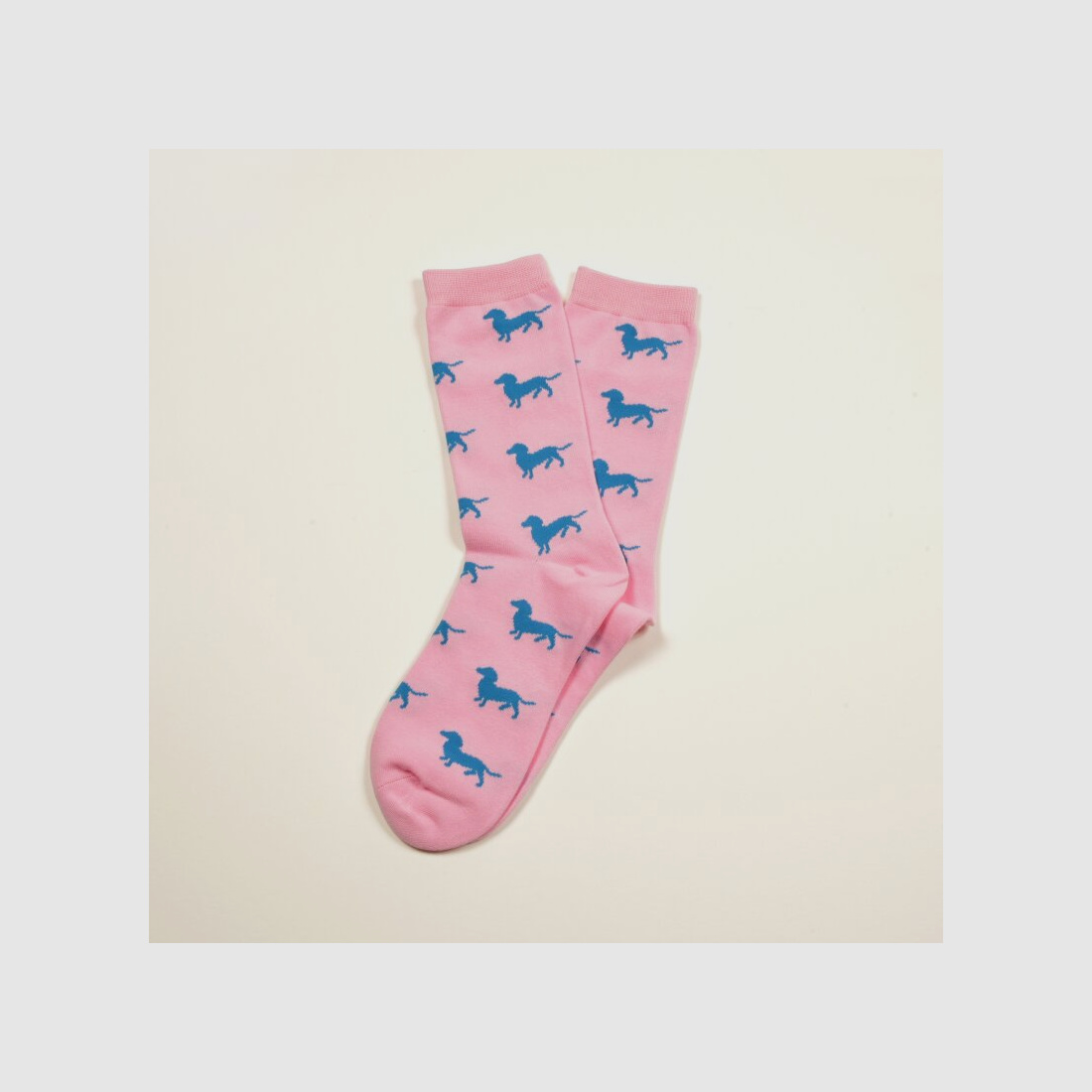 Krawattendackel Socken Dackel