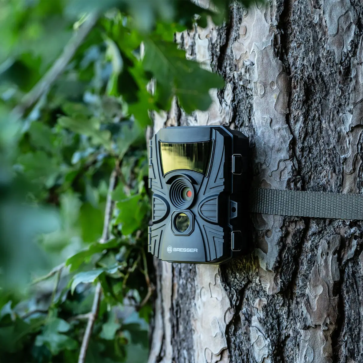 Bresser 60°-Wildcamera, afbeelding 7 van 10