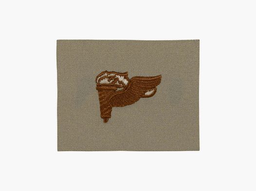 Unbekannt Abzeichen US Pathfinder Stoff desert
