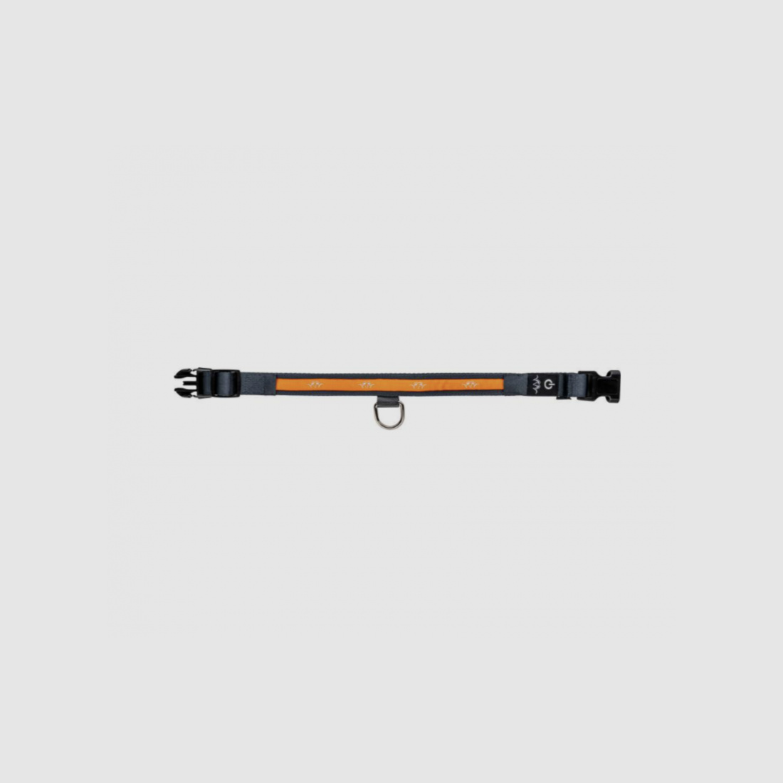 Blaser Halsband LED