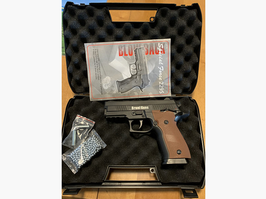 Sig Sauer P226 Bruni Guns Blow-Back