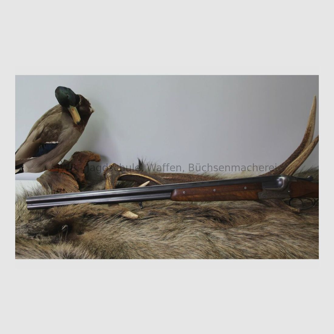 Light and manageable Merkel shotgun 16/70