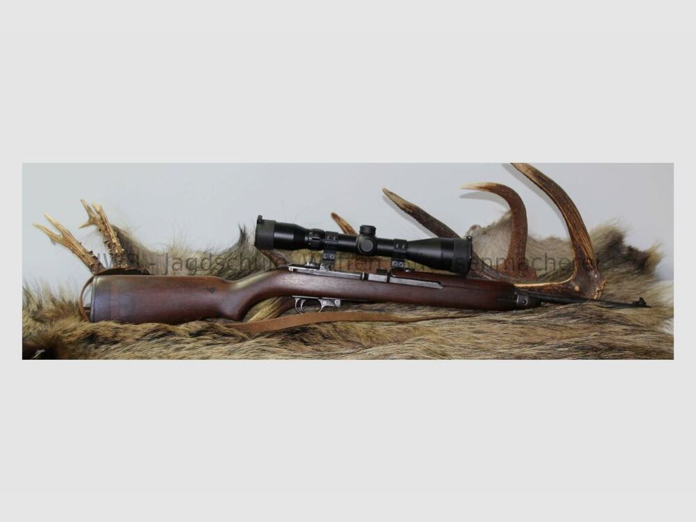 Springfield M1 .30 Carbine