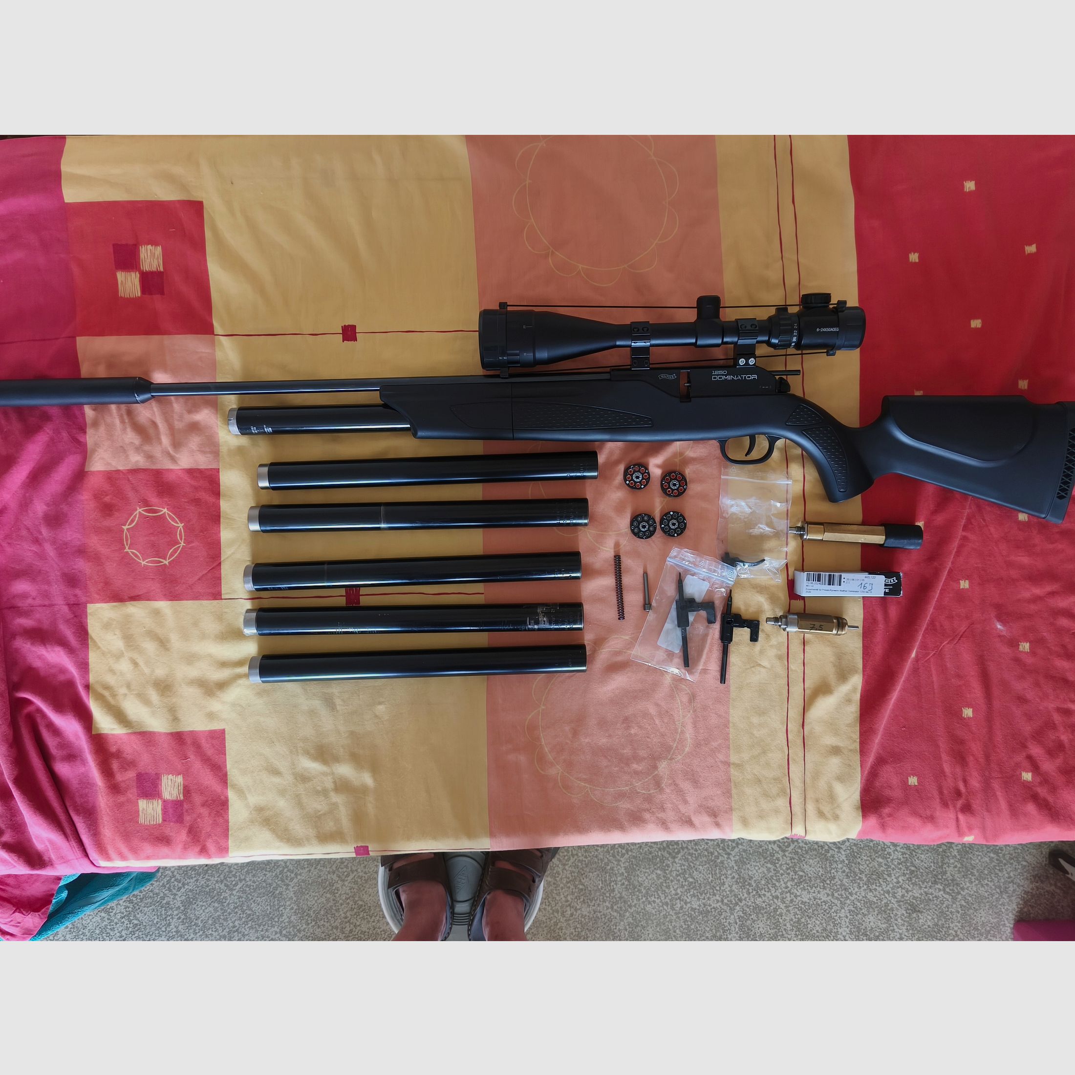 Walther Dominator 1250 calibre 5,5 mm avec beaucoup d'accessoires, calibre rare