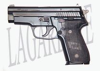 SIG-SAUER P229(PISTOLET)