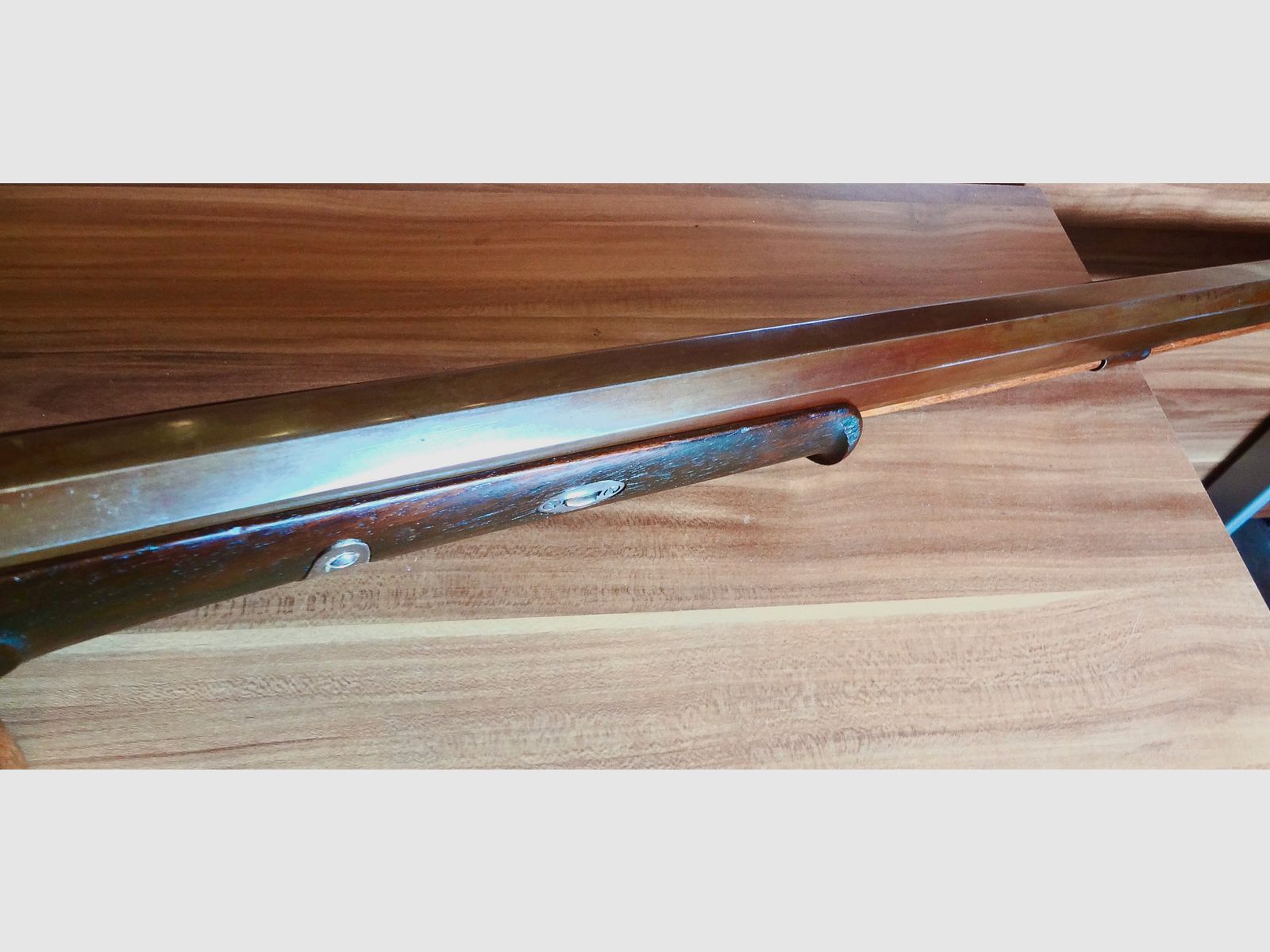 Match muzzle-loading rifle Palmetto Waadländer in caliber .45.