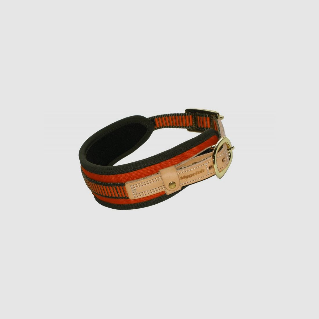 Collier de suivi Niggeloh, image 1 sur 3