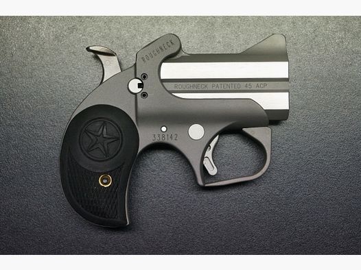 Bond Arms Roughneck