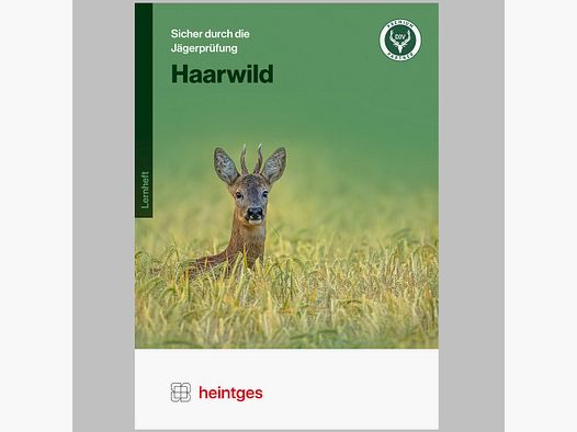 Heintges learning system Haarwild