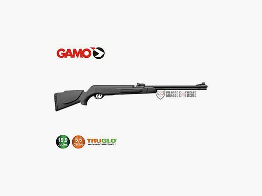 Carabine GAMO Big Cat Cfs à Canon Fixe 19,9 Joules