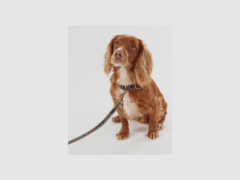 Laisse pour chien Barbour Tartan réfléchissante