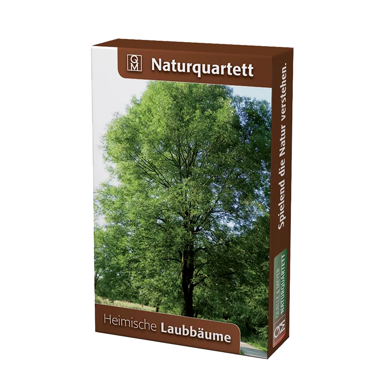 Quartet de la nature "Arbres feuillus indigènes"