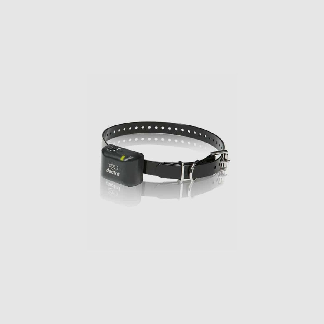 Dogtra YS300 anti-blafband