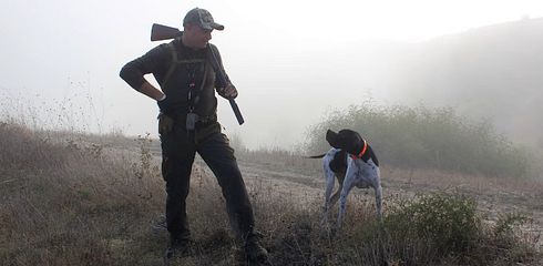 Instruction: Shotgun shooting for hunting