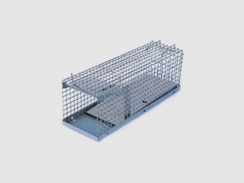 Grid trap for rats