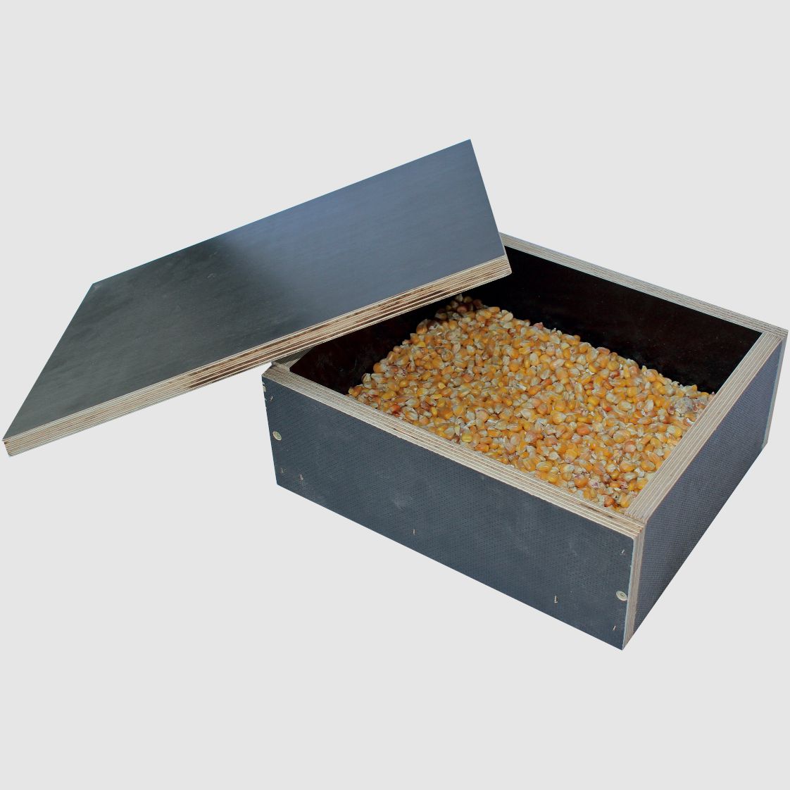 Kirrkiste Mod. Grimmig