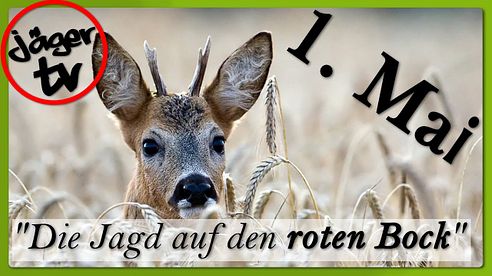 1. Mai "Die Jagd auf den roten Bock"