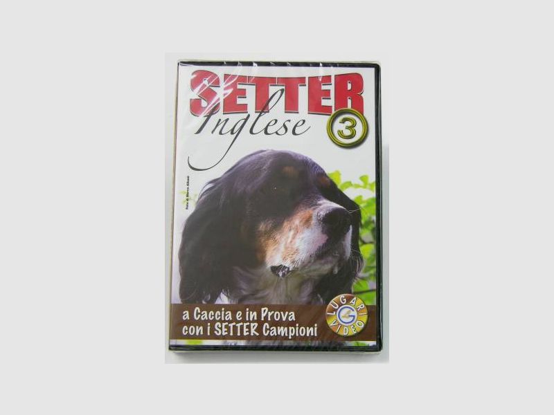 LUGARI Setter Inglese 3