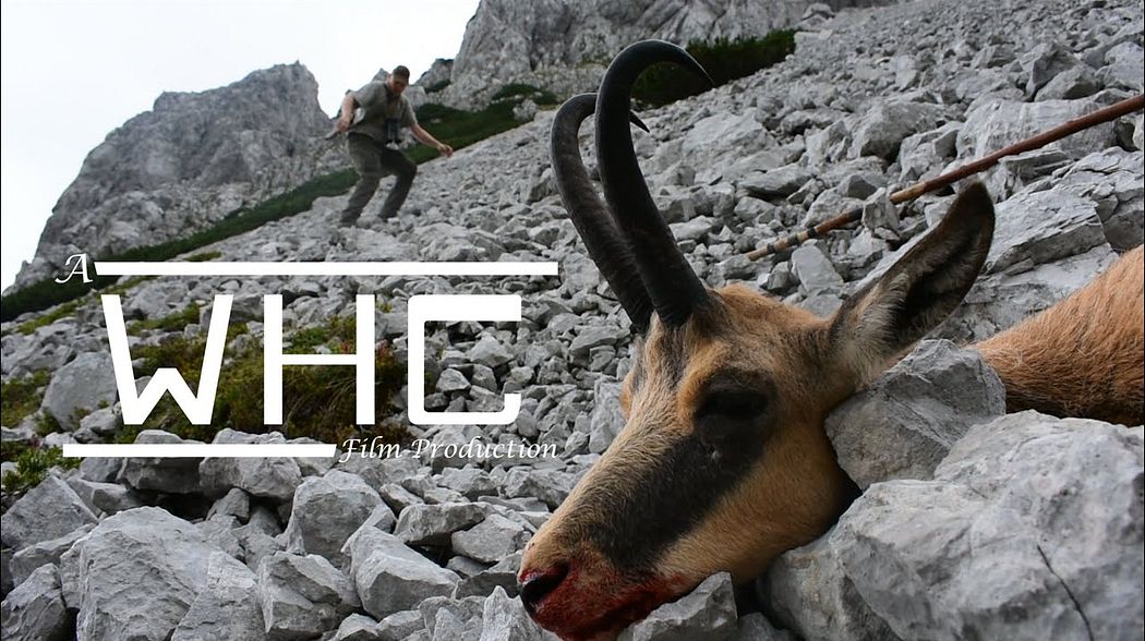 WHC on Top: Jagd auf Gams und Rehbock im August - [ENGLISH SUBTITLES]