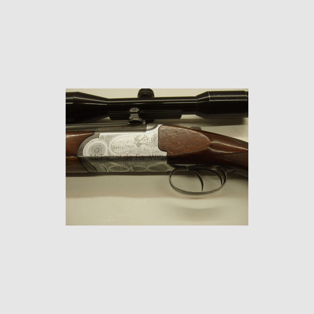 Sabattii mit ZF SWAROVSKI 6x42 Absehen 1
