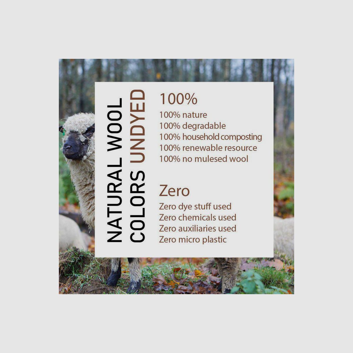 IVANHOE NLS SAP Full Zip Nutmeg