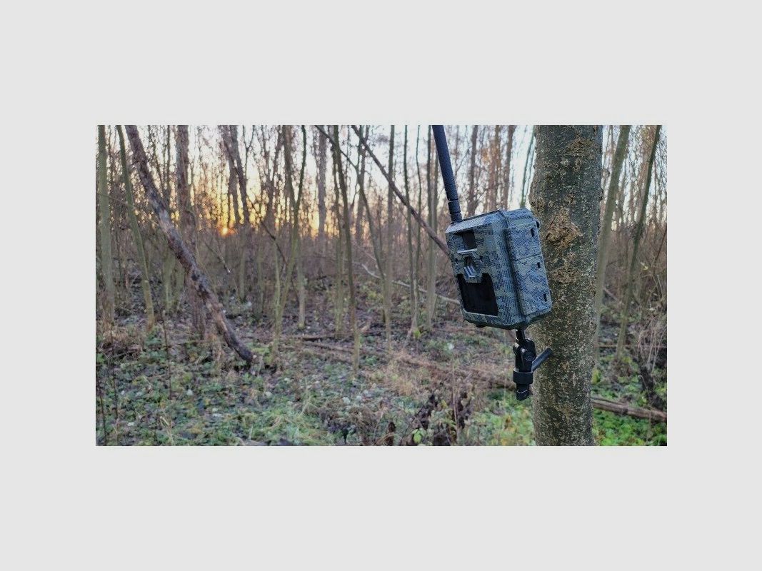 ICUserver CLOM Cam5 Wildkamera inkl. 2000 Gratis Coins