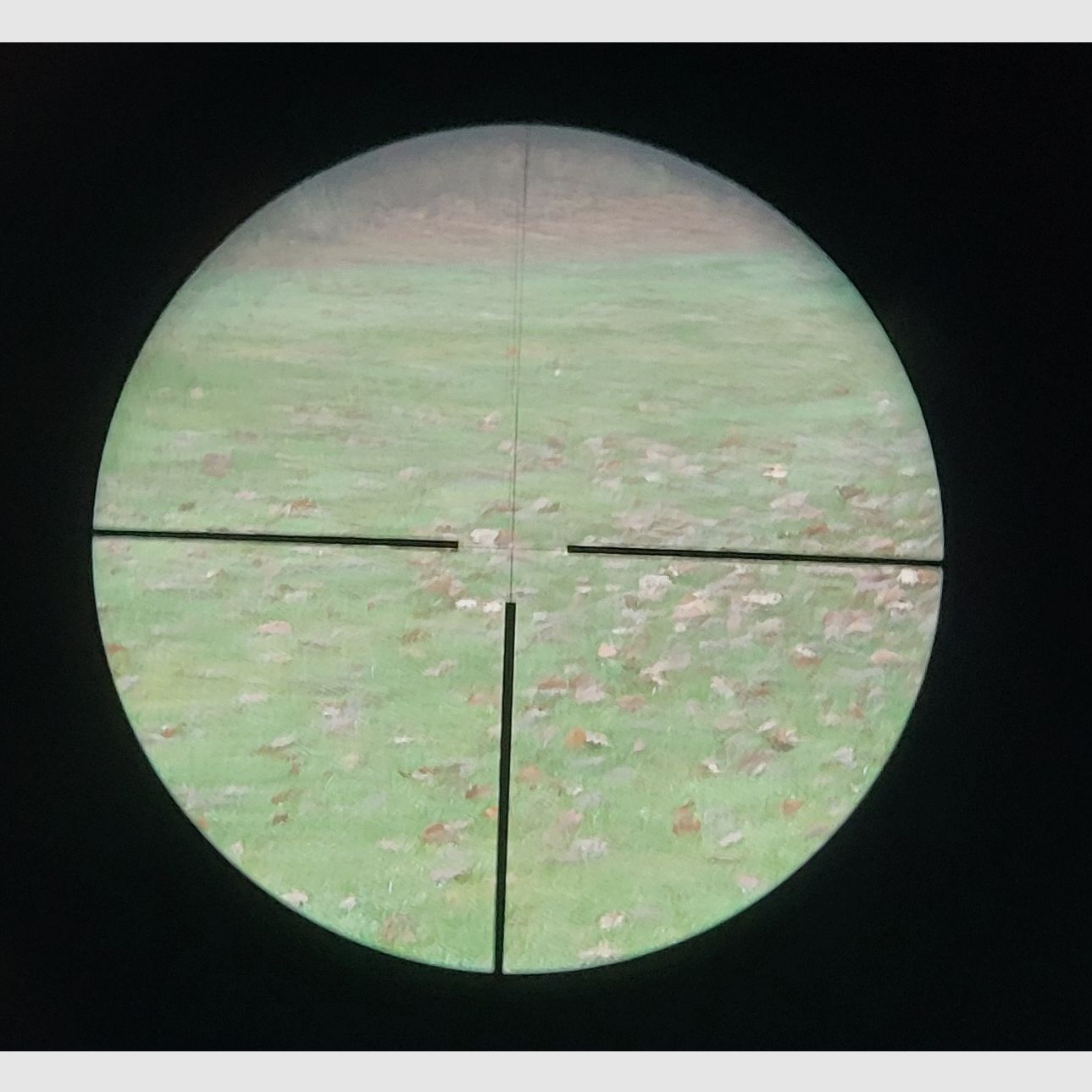 Meopta Meostar R1 3-12 x 56 RD mit Leuchtpunkt und Schwenkmontage