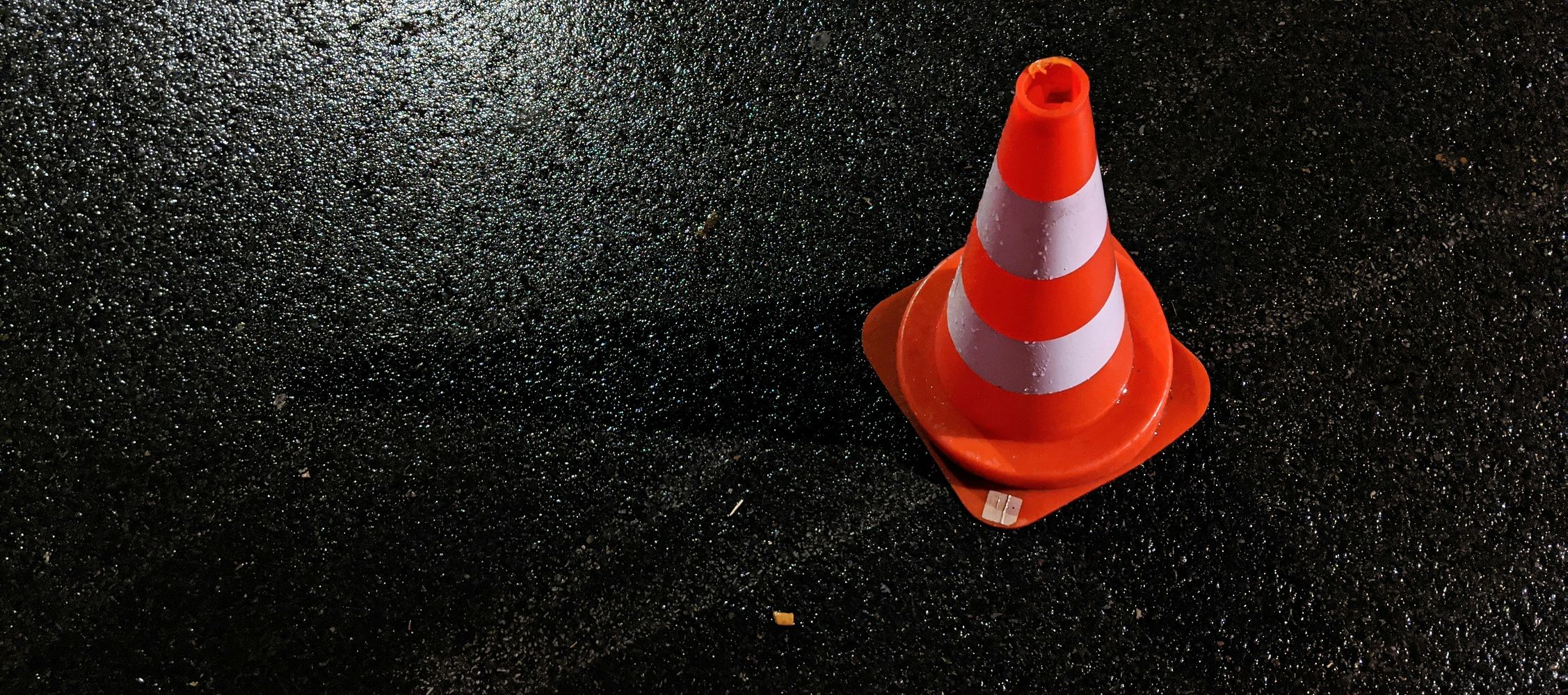 Wild Accidents: Prevention, Behavior, and Consequences