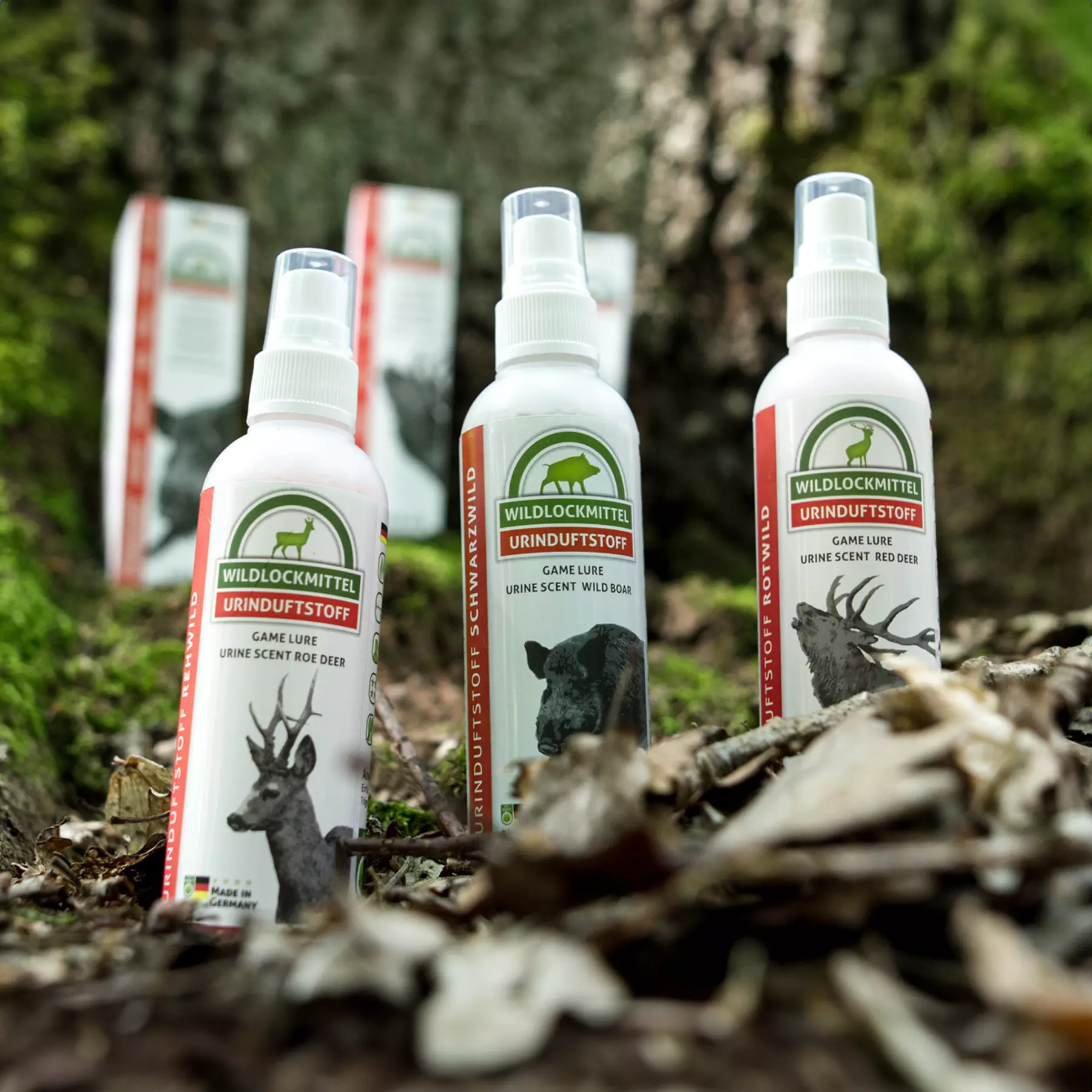 Scent of deer, image 3 of 3