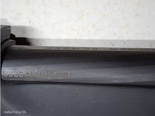 Ruger 10/22 