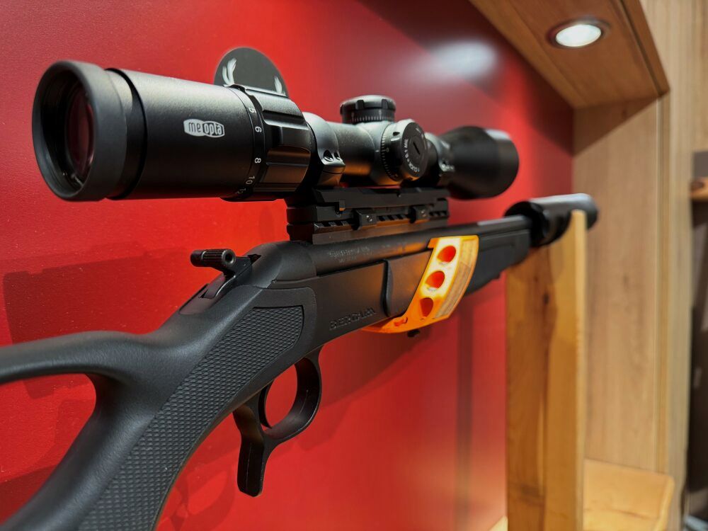 Bergara BA13