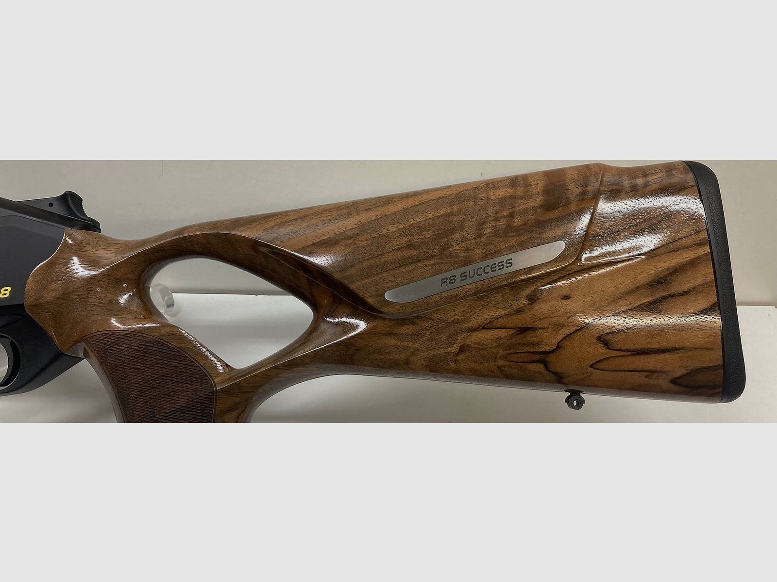 Blaser R8 Success